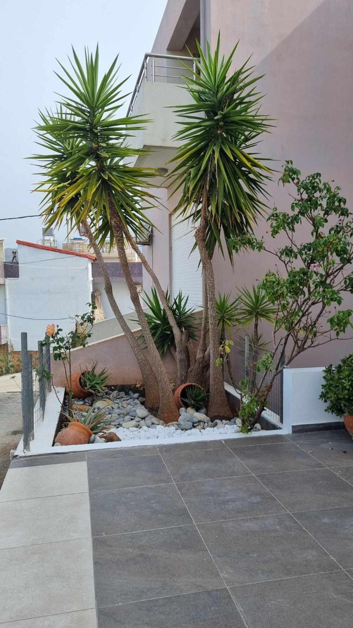 Chania Four Seasons Maisonette Room photo